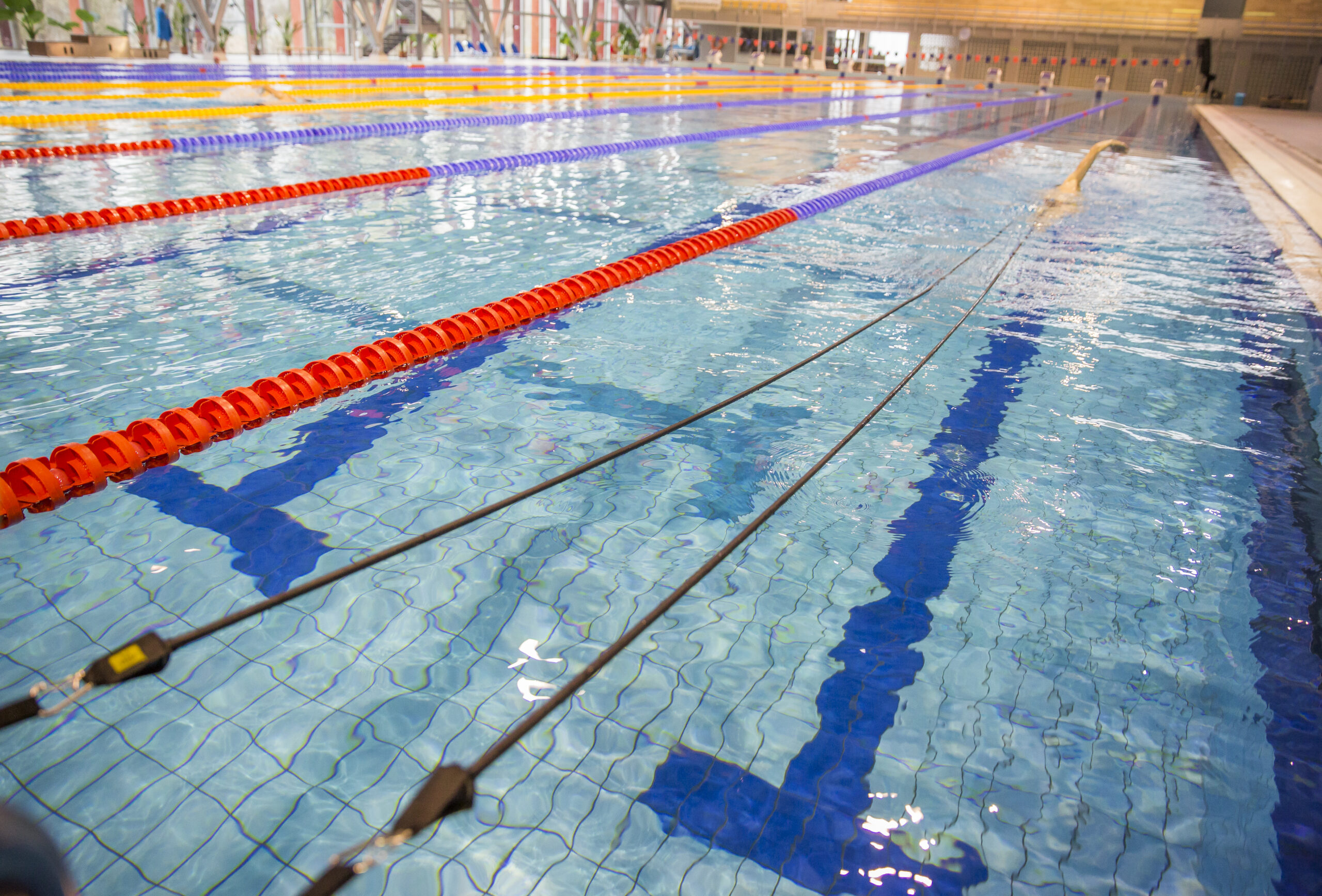 Svømmebælte til AquaWallGym og svømmetræning - AQUA MOVES